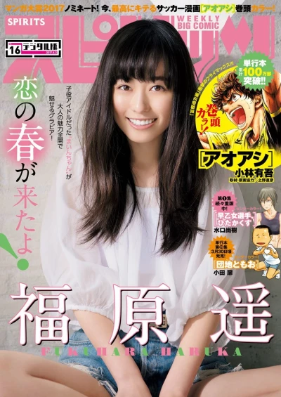 Cover of No. 16, 2017