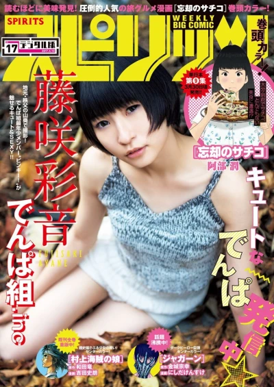 Cover of No. 17, 2017