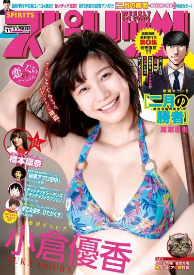 Cover of No. 11, 2019