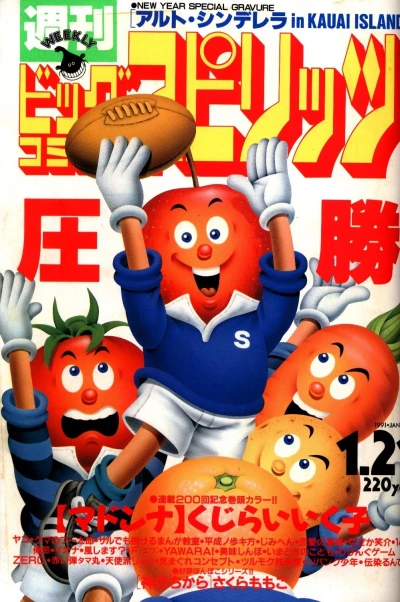 Cover of No. 5, 1991