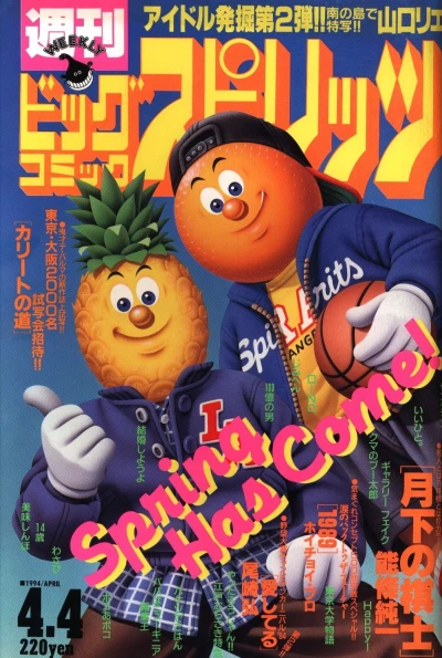 Cover of No. 15, 1994
