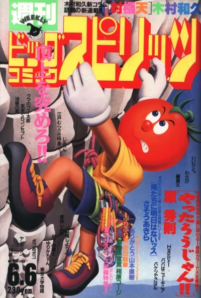 Cover of No. 24, 1994