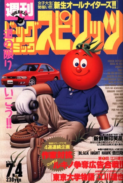 Cover of No. 28, 1994