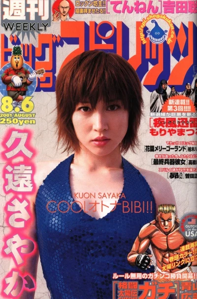 Cover of No. 34, 2001