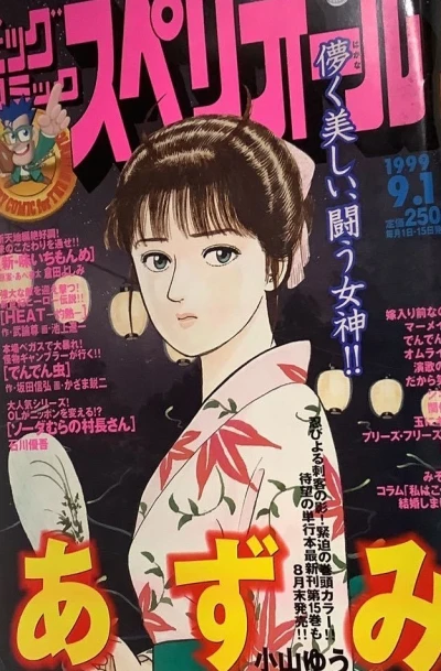 Cover of No. 17, 1999