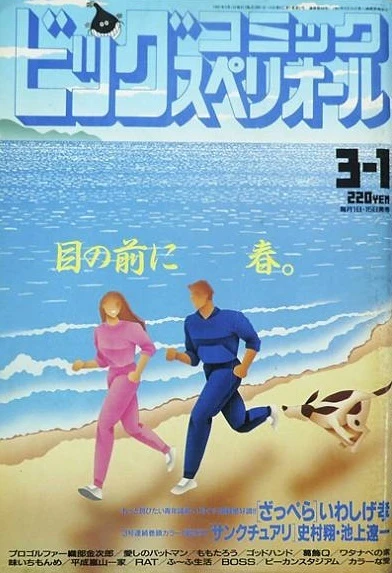 Cover of No. 5, 1991