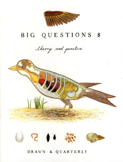 Cover of Theory and Practice