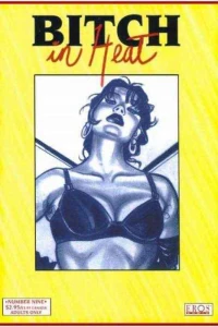 Table Games; Twenty-Fourth Floor; Dreams & Disguises