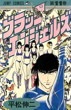 Cover of Vol. 11