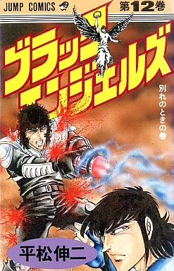 Cover of Vol. 12