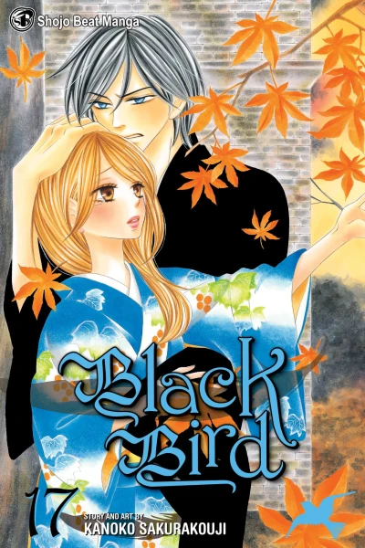 Cover of Vol. 17