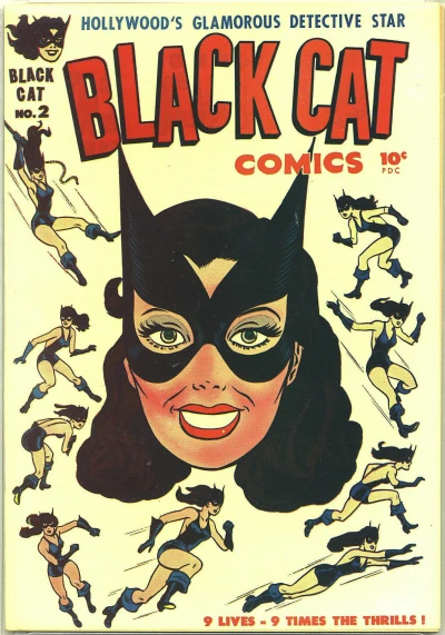 Cover of Who is the Black Cat?