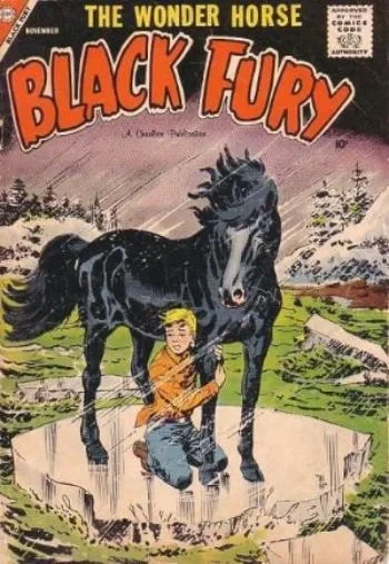 Cover of Evil Allies