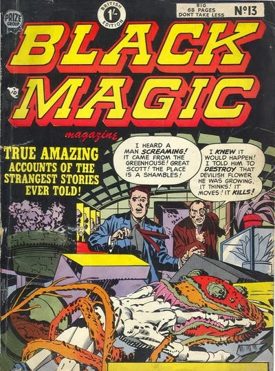 Cover of Issue #13