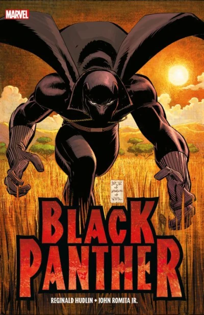 Cover of Wer Ist Black Panther?