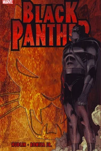 Who Is The Black Panther