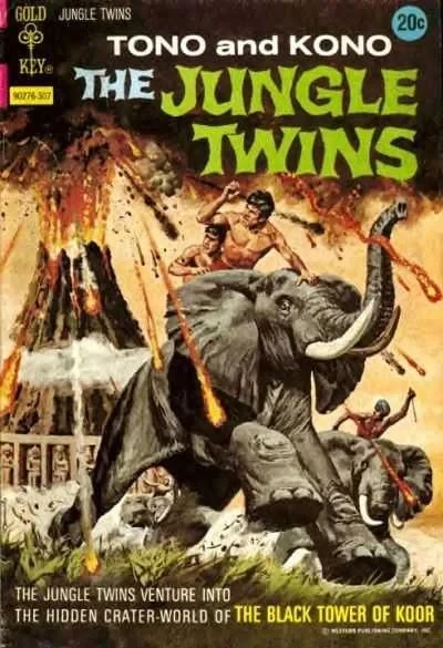 Cover of Black Tower Of Koor