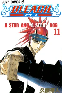 A Star and a Stray Dog