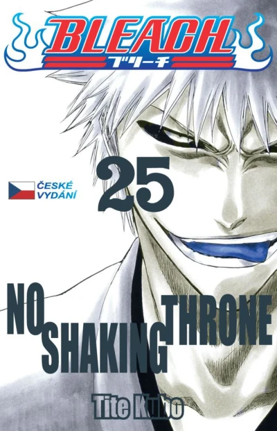 Cover of No Shaking Throne