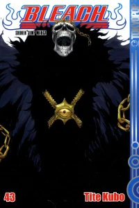 Königreich der Hollows