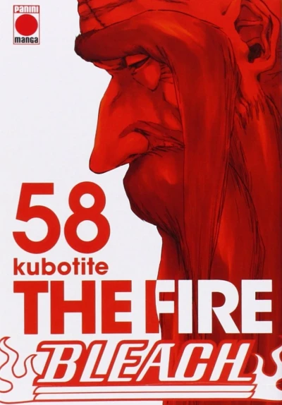 Cover of The Fire