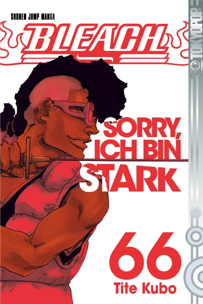 Cover of Sorry, ich bin stark