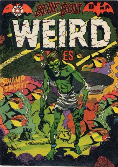 Cover of Swamp Spirit