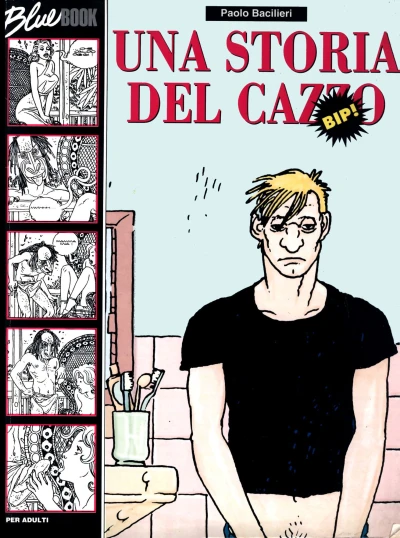 Cover of Una storria del cazzo