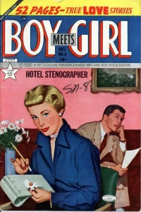 Hotel Stenographer
