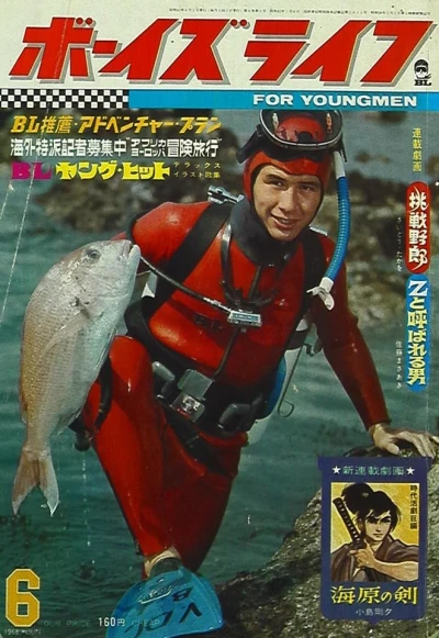 Cover of Volume #196806