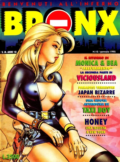 Cover of Issue #12