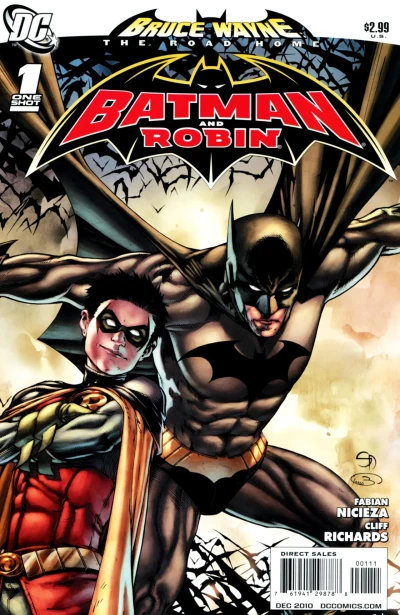 Cover of Bruce Wayne: The Road Home: Batman and Robin Vol 1 1