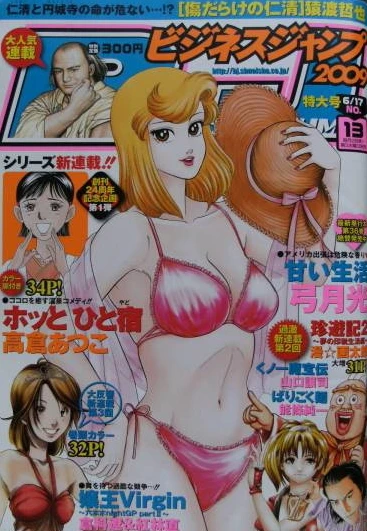 Cover of No. 13, 2009