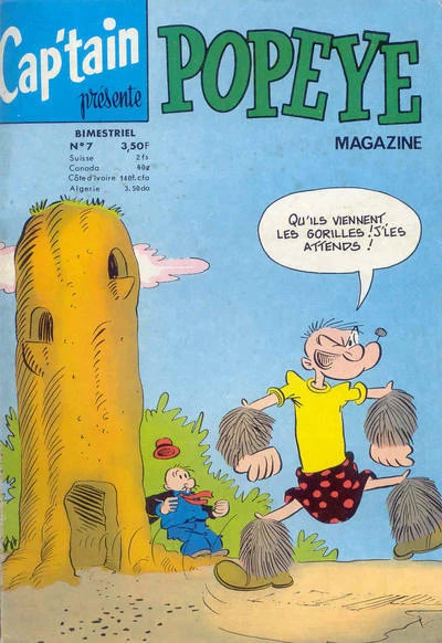 Cover of Vêtements de pluie