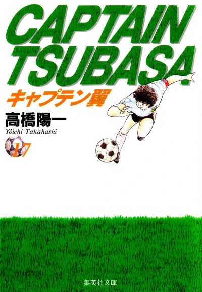 Cover of Vol. 17