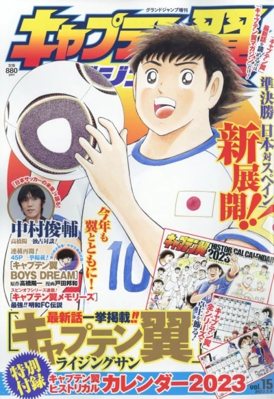 Cover of Vol. 15