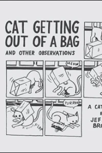 Cat Getting Out of A Bag