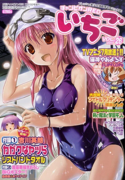 Cover of Vol. 26
