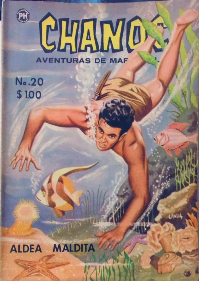 Cover of Aldea maldita