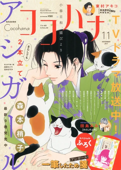 Cover of No. 11, 2017