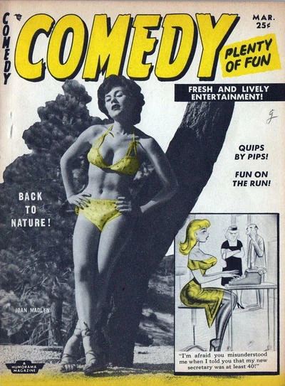 Cover of Issue #29