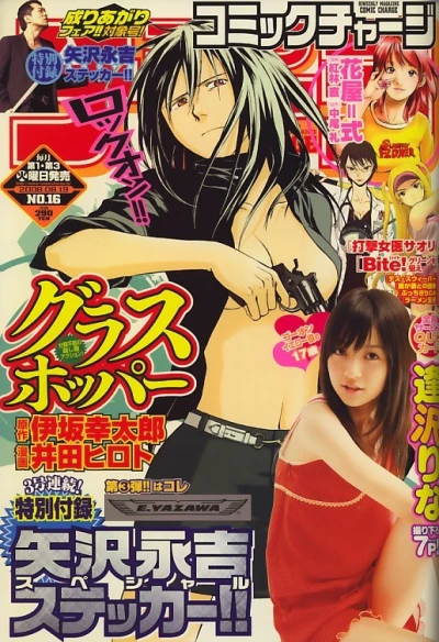 Cover of No. 16, 2008