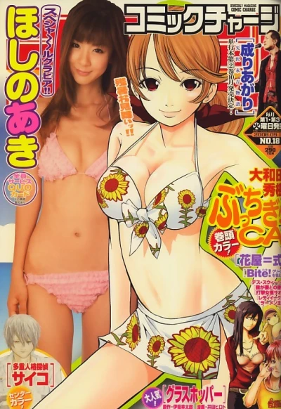 Cover of No. 18, 2008