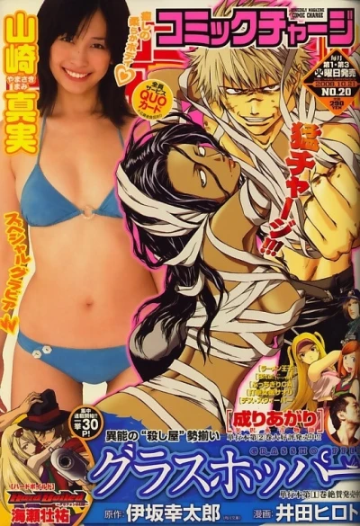 Cover of No. 20, 2008