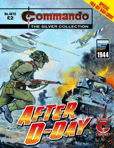 Cover of After D-Day