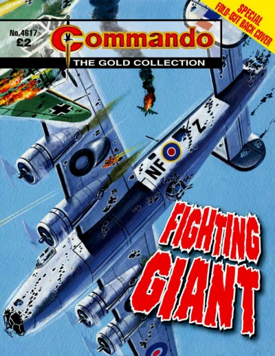 Cover of Fighting Giant
