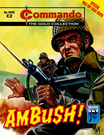 Cover of Ambush!