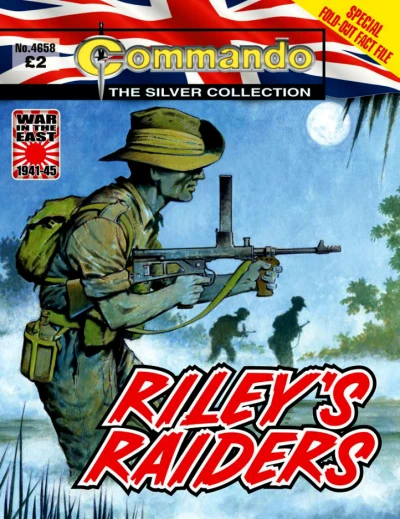 Cover of Riley's Raiders