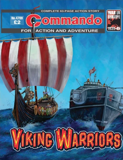 Cover of Viking Warriors