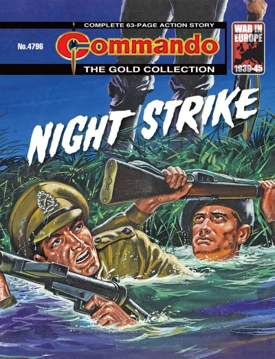 Cover of Night Strike